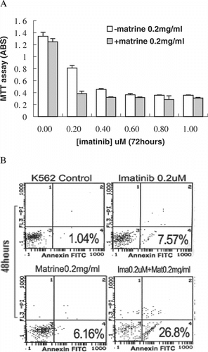 Figure 2 Combined effects of matrine and imatinib on K562 cells (A) MTT assay showed the combined effects of 0.2 mg/mlmatrine with indicated concentrations of imatinib for 48 h on cell growth. (B) FACS demonstrated that the combination of treatment for 48 h increased apoptotic populations. The values represent means and standard deviations obtained from triple cultures