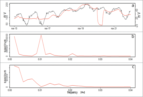 Figure 7. EP for Prunus domestica. (A) Keithley voltmeter (red line) and electrophysiological sensor (black line) setups, respectively, for the water restriction period (B) and (C) Frequency analysis for the Keithley sensor and the electrophysiological sensor setups, respectively.