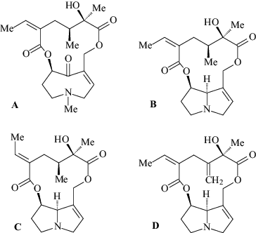 Figure 1. Structure of pyrolizidine alkaloids (PAs) in Tussilago farfara. Senkirkine (A), Senecionine (B), Integerrimine (C) and Seneciphylline (D).
