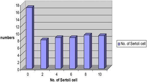 Figure 4. Number of Sertoli cells (×109) per cross section of the seminiferous tubule of the testes in Assam goats at different post natal ages.