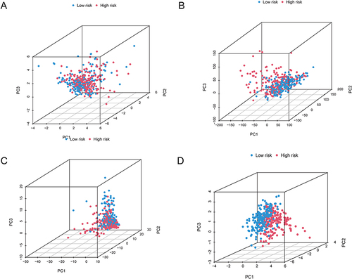 Figure 6 Using principal component analysis, compare the risk groupings at high and low levels depending on. (A–D) all gene expression profiles (A), 10 disulfidptosis-related genes (B), 317 disulfidptosis-related lncRNAs (C), and risk model based on the representation profiles of the 317 disulfidptosis-related lncRNAs (D) in the TCGA entire set.