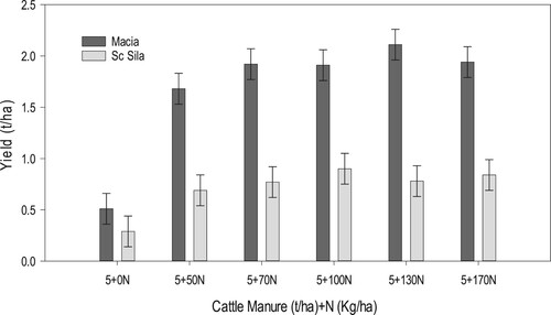 Figure 7. Effect of sorghum variety × cattle manure + N on sorghum grain yield.
