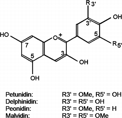 Figure 1 Chemical structure of enocyanins.