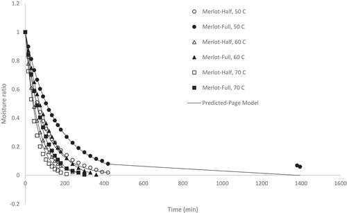 Figure 1. Experimental and predicted (Page model) moisture ratio of fermented Merlot grape pomace dried at 50, 60, and 70°C at half and full load density conditions
