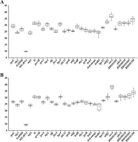 Figure 3. Threshold cycle (Ct) values of 29 candidate reference genes. The box plots of S. spinosa ATCC 49460 (A) and S. spinosa S3-3 (B) for Ct values from the qRT-PCR analysis. Note: For each candidate gene, the line inside the box is the median and the little square inside the box is the mean. The top and bottom lines of the box are 75th and 15th quartiles, respectively. The top and bottom whiskers represent the 5th and 95th percentiles.