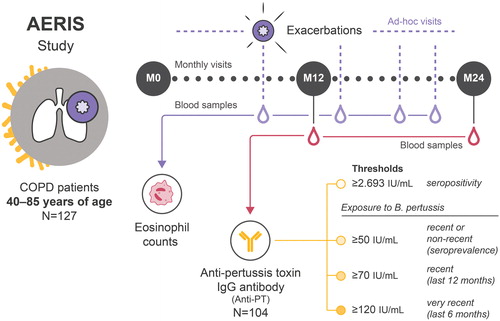 Figure 2. Study design and methodology. Red droplets indicate blood samples taken at M12 and M24 analyzed for anti-PT antibodies. Purple droplets indicate blood samples at ad-hoc exacerbation visits analyzed for eosinophils. AERIS, Acute Exacerbation and Respiratory Infections in COPD; B. pertussis, Bordetella pertussis; COPD, chronic obstructive pulmonary disease; IgG, immunoglobulin G; IU, international units; M0, time of enrollment in the AERIS study (June 2011–June 2012); M12, 12 months after enrollment (June 2012–July 2013); M24, 24 months after enrollment (July 2013–June 2014); N, total number of patients in the AERIS cohort (127) or included in the analysis of seroprevalence (104); PT, pertussis toxin.