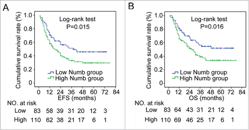 Figure 2. Increased Numb expression in ESCC tissue correlates with poor prognosis in patients. Numb protein levels in ESCC and adjacent normal tissues from 193 patients with complete long-term follow-up were measured by IHC. Kaplan-Meier analysis revealed that high Numb expression correlated with a significantly shorter (A) EFS (P = 0.015, log-rank test) and (B) OS time (P = 0.016, log-rank test) for all patients. p < 0.05 was considered significant.