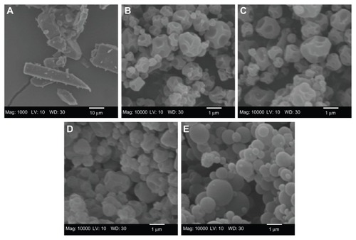 Figure 1 Representative scanning electron micrographs of (A) raw unprocessed cyclosporine A and spray-dried cyclosporine A at a (B) 10% pump rate; (C) 25% pump rate; (D) 50% pump rate; and (E) 75% pump rate.