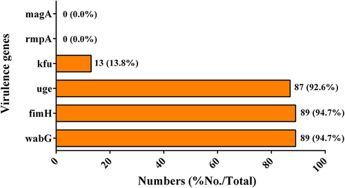 Figure 3 Prevalence of virulence genes in the CRKP isolates.