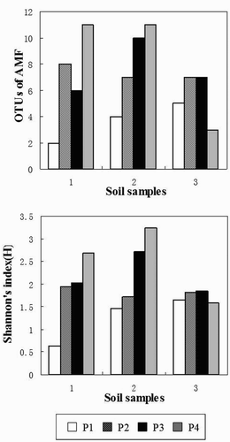 Figure 3. The OTUs and Shannon's index (H) of the Glomeromycota in three soil samples using the four primer sets (P1, P2, P3 and P4).