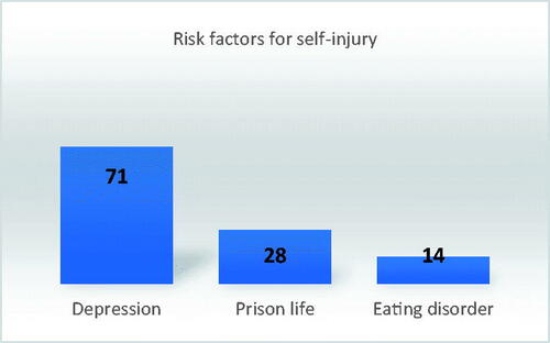 Figure 15. Risk factors for self-injury.
