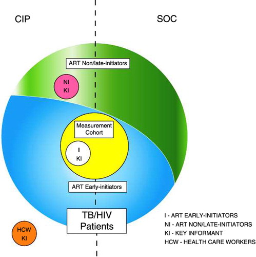 Fig. 1 Study Participants. All newly registered TB/HIV patients at study sites in both conditions are represented by the large circle; those who initiated ART during the first 2 months of TB treatment (ART early initiators) are depicted in blue, while those who did not initiate ART or initiated ART after the first 2 months of TB treatment (ART non/late initiators) are depicted in green. A sample of ART early initiators from study sites in both conditions who enrolled in the measurement cohort are represented by the yellow circle. Key informants at CIP study sites included: 1) ART early initiators (I KI), depicted by the white circle; 2) ART non/late initiators (NI KI), depicted by the pink circle; and 3) health care workers (HCW KI), depicted by the orange circle.