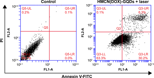 Figure S5 Flow cytometry analysis of apoptosis and necrosis of HeLa cells with blank control and HMCN(DOX)@GQDs under laser irradiation treatment, using the Annexin V-FITC/PI staining.Abbreviations: DOX, doxorubicin; FITC, fluorescein isothiocyanate; GQDs, graphene quantum dots; HMCN, hollow mesoporous carbon nanoparticle; PI, propidium iodide.