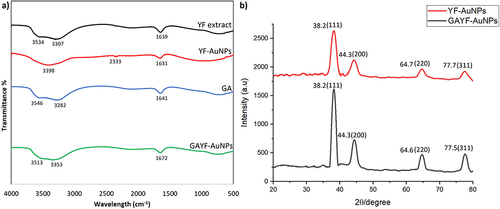 Figure 5 FTIR and XRD analysis of gold nanoparticles, (a) FTIR spectra indicated Y. filamentosa extract phytochemicals with the gold nanoparticle surface, acting as both a reducing and stabilizing ligand for the nanoparticles and (b) XRD spectra revealed crystalline nanoparticles represented by four peaks corresponding to standard Bragg reflections (111), (200), (220), and (311) of face-centered cubic lattice. The intense peak at 38.1 represents preferential growth in the (111) direction.