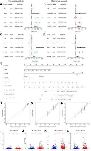 Figure 5 (A and B) Univariate and multivariate Cox analyses of risk score along with clinicopathological features (including age, gender, grade, and stage) in the training set; (C and D) univariate and multivariate Cox analyses of risk score along with clinicopathological features (including age, gender, grade, and stage) in the test set; (E) nomogram based on risk score, age, grade, and stage in the entire cohort; (F–H) calibration plots of the nomogram for predicting the probability of overall survival at 1, 2, and 3 years in the TCGA dataset; (I–L) the expression levels of PD-L1, PD-1, CTLA4, and LAG3 in the high- and low-risk subgroup.