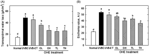 Figure 5. Transepidermal water loss and erythema value in the skin of UVB-irradiated hairless mice treated with OHE. (A) Transepidermal water loss in the dorsal mouse skin was examined using the Tewameter TM 300. (B) The erythema level was determined using a MexameterMX18. Normal: drinking water without OHE, no UVB irradiation; UVBC: drinking water without OHE plus UVB irradiation; UVB-ET: topical application of vehicle (15% eucalyptol); OL: 0.1% OHE in drinking water plus UVB irradiation; OH: 0.5% OHE in drinking water plus UVB irradiation; TL: topical application of OHE at 0.2 mg/cm2 plus UVB irradiation; TH: topical application of OHE at 0.4 mg/cm2 plus UVB irradiation. The values are the mean ± standard error of the mean (SEM) (n = 6). Different letters indicate significant differences (p < 0.05) among the groups as indicated by Duncan’s multiple range test.