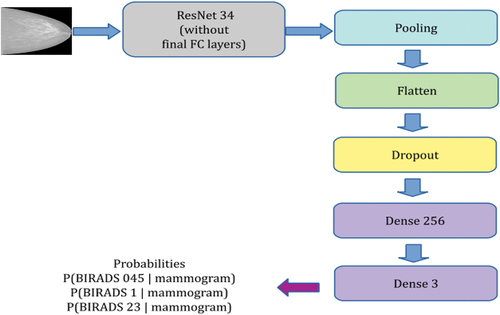 Figure 7. CNN network architecture for classification of BI-RADS (backbone ResNet 34).