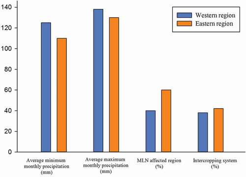Figure 13. Comparison of western and eastern regions of the study area for precipitation, high severity Maize Lethal Necrosis (MLN), and maize intercropping distribution.