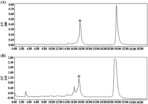 Figure 3. RP-HPLC chromatography of rYC1. (A) Absorption of the eluted proteins was measured at 280 nm, and fractions corresponding to detected peaks were collected. (B) Absorption of the eluting solution was measured at 215 nm, and fractions corresponding to detected peaks were collected.