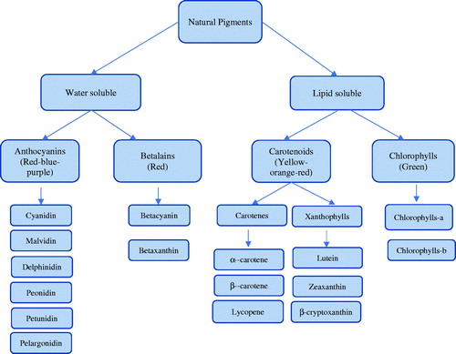 Figure 1. Classification of natural pigments extracted from vegetal wastes.