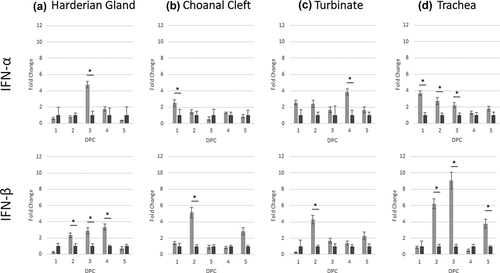 Figure 5. Expression profiles of host genes (IFN-α and IFN-β) in challenged chickens compared to the control group. Data is shown as the difference in fold change when compared to the unchallenged control group. Significant changes between challenged and unchallenged groups per sampling point are shown with an asterisk (p < 0.05).