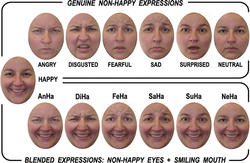 Figure 1. Sample of face stimuli with truly happy, truly non-happy, and blended expressions.