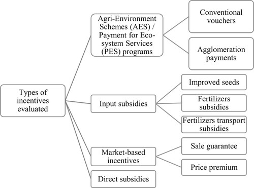 Figure 3. The types of incentives adopted to enhance the diffusion of conservation agriculture.