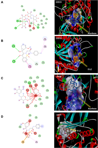 Figure 2 3D docking model of acarbose and FA2 against α-glucosidase (2ZE0: A and B) and α-amylase (1B2Y; C and D); 2D structure representing interaction of molecules with enzyme pocket residues.