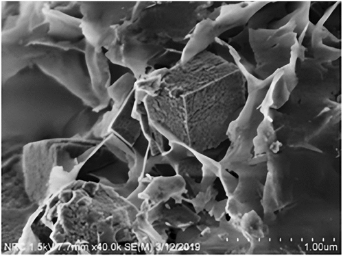 Figure 1. SEM image shows the formation of nano carbonates (CaCO3) as a result of the addition of CO2 to the concrete material (photo by CarbonCure technologies).