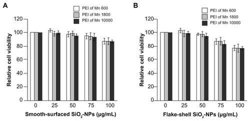 Figure 3 Cytotoxicity of PEI-coated SiO2 nanoparticles. Relative cell viability of smooth-surfaced (A) and flake-shell (B) SiO2 nanoparticles coated with PEI of Mns 600, 1800, and 10,000. Peripheral blood mononuclear cells were exposed to PEI-coated SiO2 nanoparticles at various concentrations for 48 hours.Abbreviations: PEI, polyethyleneimine, NPs, nanoparticles; Mn, number-average molecular weight.