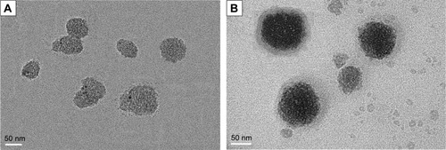 Figure 2 TEM images of MSNs (A) and PL-MSNs (B).Abbreviations: TEM, transmission electron microscopy; MSNs, mesoporous silica nanoparticles; PL, pH stimuli-responsive lipid membrane.