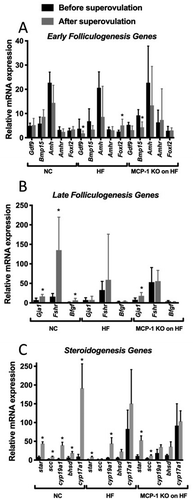 Figure 5. Whole ovary mRNA quantification for genes involved in folliculogenesis and steroidogenesis before and after superovulation.