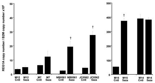 Figure 2. The mRNA expression of REG1A mRNA of melanoma lines. The mRNA expression of 6 melanoma lines treated or not treated with 5-Aza was evaluated by RT-qPCR. After 5-Aza treatments, 4 of 6 lines showed upregulated REG1A mRNA expression. One line (M14), which had high REG1A expression, did not show upregulated REG1A mRNA expression after 5-Aza treatment. Error bar shows standard deviation of 3 cell lines. § p < 0.05.