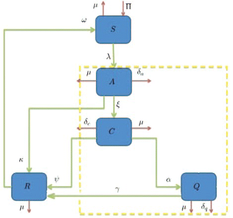 Figure 1. Flow diagram of the model (1). The model consists of five sub-populations: susceptible S, acute A, chronic C, isolated Q and recovered R individuals.