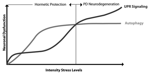 Figure 1. Hormesis mechanism to avoid degeneration in PD. During presymptomatic stages of PD, low levels of stress (i.e., oxidative and ER stress) may trigger the activation of autophagy as a survival pathway to reduce stress levels. This preconditioning may effect protect against a subsequent toxic stimuli that prevents or delays degeneration of dopaminergic neurons through a hormesis mechanism. The appearance of the clinical manifestation of PD may be due in part to a gradual increase in stress levels to an irreversible point where hormesis mechanisms (i.e., UPR prosurvival/adaptive signaling and upregulation of autophagy) are not sufficient to recover cellular homeostasis.