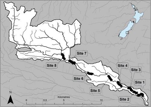 Figure 1. The Waikakahi Stream catchment (South Canterbury, New Zealand) showing the locations of the eight surveyed 1 km stream segments. The stream flows from west to east before it joins the Waitaki River c. 4 km upstream of the coast. All tributaries and the mainstem 1 km upstream of Site 8 are ephemeral.