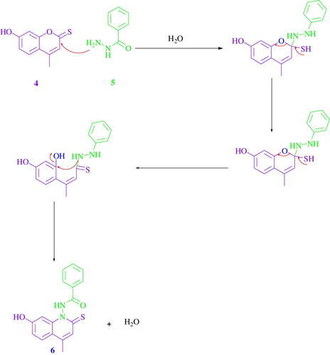 Scheme 3. The proposed mechanism for the formation of type 6 compounds.