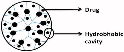 Figure 6. Drug encapsulation in dendrimers by physical encapsulation.