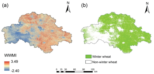 Figure 5. The (a) WWMI and (b) winter wheat map generated by the pixel-based WWMI in Zhumadian.