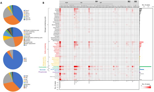 Figure 3. Chemical moieties of MBLIs and their target MBLs in the systematic literature analysis. (A) Composition of MBLIs categorised by the classification of inhibitor types and chemical moieties, and composition of MBLs according to subclasses (B1, B2, and B3) and families such as NDM; (B) Pairs of chemical moieties and inhibited MBL variant types in the literatures were counted as cases and their counted amounts were displayed as a heatmap and bar charts, based on MBL variant types used for targets of efficacious MBLIs and chemical moieties of effective MBLIs.