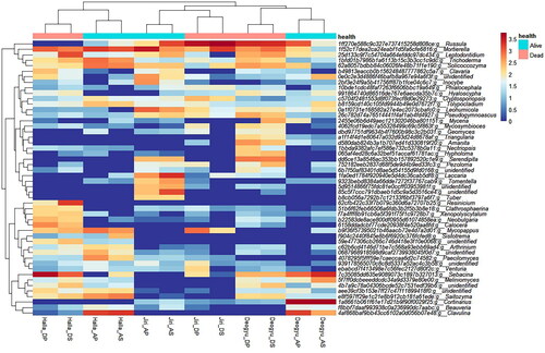 Figure 7. Hierarchical clustering of sequences classified at the genus level. The soil samples from the healthy trees in each study location were clustered together, while those from the dead trees in each study site were also grouped together.