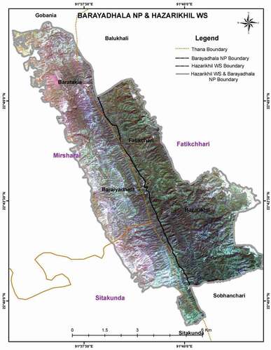 Figure 1. Satellite view of the Hazarikhil forest area under the Chittagong North Forest Division of Bangladesh. Used in Hossain (Citation2015)