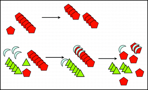 Figure 5 Cellular response model to explain why [PSI+] destabilizes [URE3]. Top: normal propagation of [URE3] (red pentagons). Bottom: [PSI+] (linked green triangles) induces the expression of the Ssa1 chaperone (light blue sickles), which destabilizes [URE3] but not [PSI+].