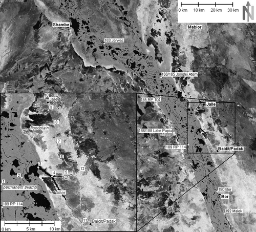 Fig. 5 Dry season Landsat image of the model area showing the swamp with water-level monitoring station numbers and locations, as well as the enlarged core assessment area between Baidit/Padak and Jalle with numbers of further monitoring locations.