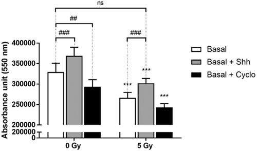 Figure 4. Effects of Hh pathway modulation on cell proliferation in basal condition after irradiation. C2C12 cells were grown 3 days prior to irradiation, then treated with Shh 4 ug/mL or Cyclopamine 3 mM, and 4 days after irradiation proliferation/viability assay was performed with PrestoBlueTM. ***p < 0.001 (ANOVA) denotes level of absorbance in irradiated C1C12 vs. level in control non-irradiated C2C12, #p < 0.05, ##p < 0.01, ###p < 0.001 (ANOVA) indicate significant difference between groups below the vertical dotted lines.