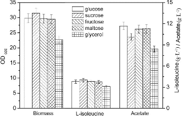 Figure 1. Effects of carbon source on L-isoleucine fed-batch fermentation by E. coli TRFP in baffled flasks.