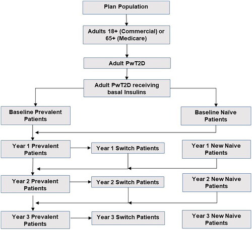 Figure 2. Patient type flowchart.PwT2D: Patients with Type 2 Diabetes.