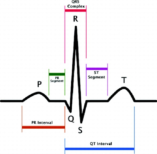 Figure 1. Normal ECG signal course.