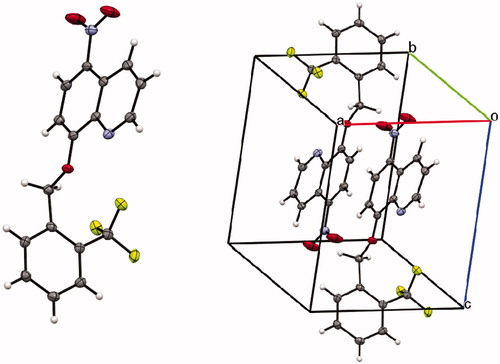 Figure 2. Crystal structure of nitroxoline-based compound 16.