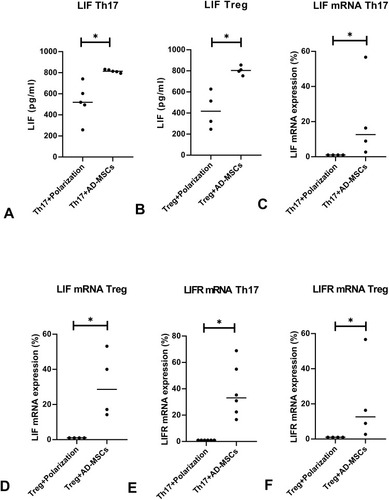 Figure 4 LIF is the key inhibitory factor. The levels of LIF protein were significantly upregulated in the supernatant of the co-cultured systems under either of the polarizing conditions tested by ELISA (A, n=5; B, n=4), real-time PCR results showed increased expression of LIF mRNA (C, n=4; D, n=4). We found increased expressions of LIF-R mRNA by real-time PCR in co-cultures under both polarizing conditions (E; F, n=4). *p<0.05.